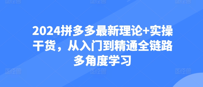 2024拼多多最新理论+实操干货，从入门到精通全链路多角度学习网赚教程-副业赚钱-互联网创业-手机赚钱-网赚项目-98副业网-精品课程-知识付费-网赚创业网98副业网