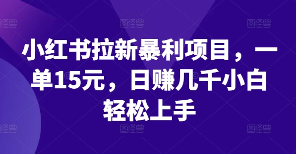 小红书拉新暴利项目，一单15元，日赚几千小白轻松上手网赚教程-副业赚钱-互联网创业-手机赚钱-网赚项目-98副业网-精品课程-知识付费-网赚创业网98副业网