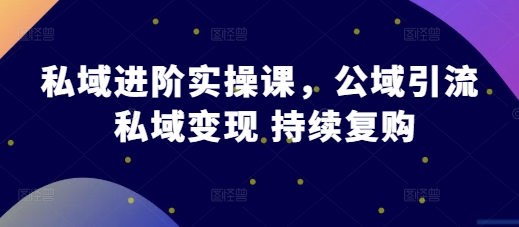 私域进阶实操课，公域引流 私域变现 持续复购网赚教程-副业赚钱-互联网创业-手机赚钱-网赚项目-98副业网-精品课程-知识付费-网赚创业网98副业网