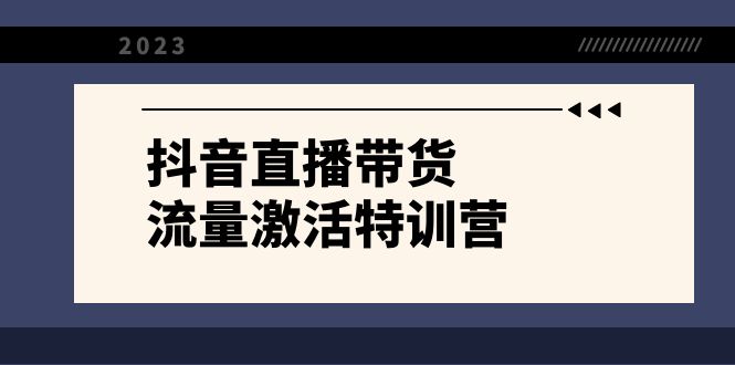 抖音直播带货-流量激活特训营，入行新手小白主播必学（21节课+资料）网赚项目-副业赚钱-互联网创业-资源整合四水哥网创网赚