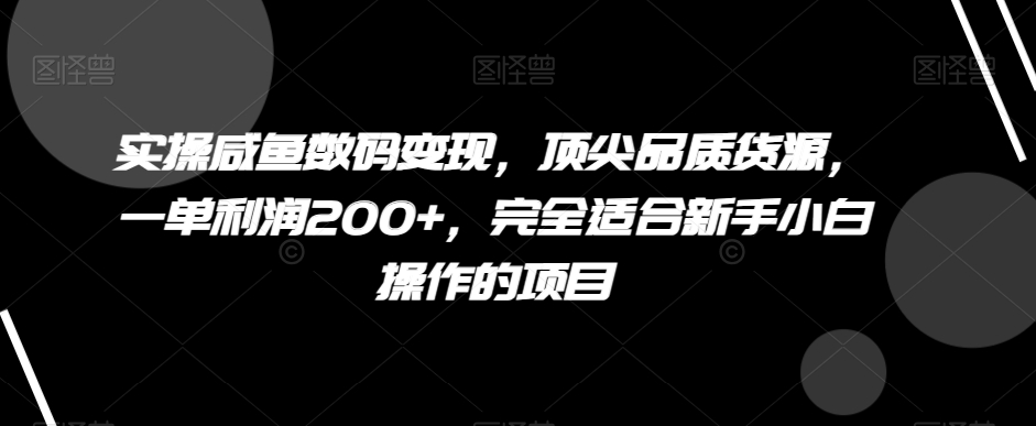 实操咸鱼数码变现，顶尖品质货源，一单利润200+，完全适合新手小白操作的项目【揭秘】网赚项目-副业赚钱-互联网创业-资源整合歪妹网赚