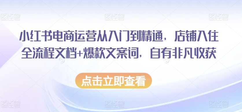 小红书电商运营从入门到精通，店铺入住全流程文档+爆款文案词，自有非凡收获-梦落网