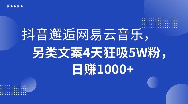 抖音邂逅网易云音乐，另类文案4天狂吸5W粉，日赚1000+【揭秘】-梦落网