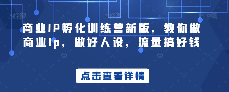 商业IP孵化训练营新版，教你做商业Ip，做好人设，流量搞好钱网赚项目-副业赚钱-互联网创业-资源整合四水哥网创网赚