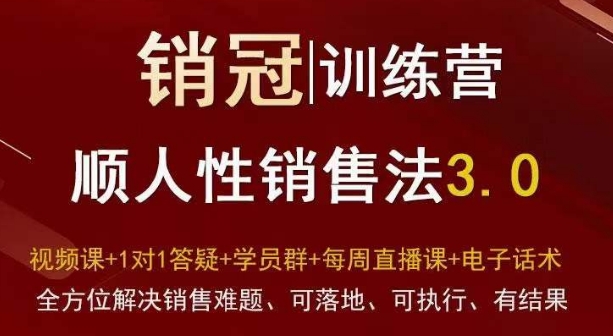 爆款！销冠训练营3.0之顺人性销售法，全方位解决销售难题、可落地、可执行、有结果资源整合BMpAI