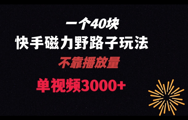 一个40块，快手联合美团磁力新玩法，无视机制野路子玩法，单视频收益4位数【揭秘】网赚项目-副业赚钱-互联网创业-资源整合四水哥网创网赚