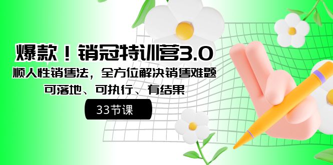 爆款！销冠特训营3.0之顺人性销售法，全方位解决销售难题、可落地、可执…网赚项目-副业赚钱-互联网创业-资源整合轻创联盟