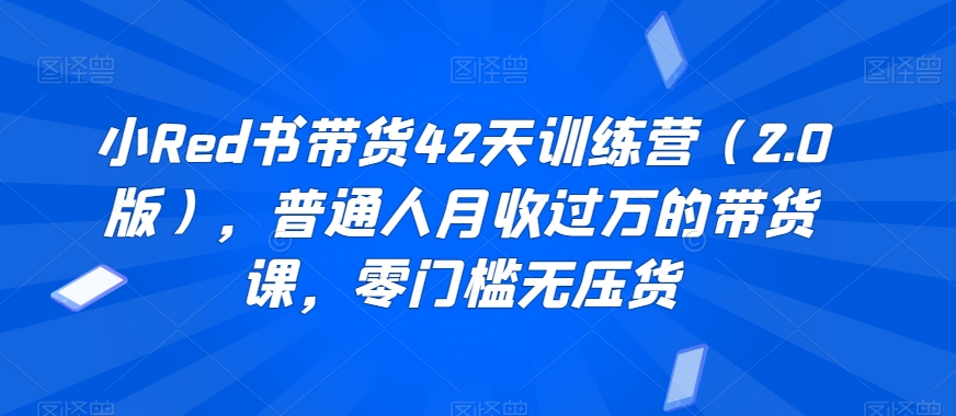 小Red书带货42天训练营（2.0版），普通人月收过万的带货课，零门槛无压货-北漠网络