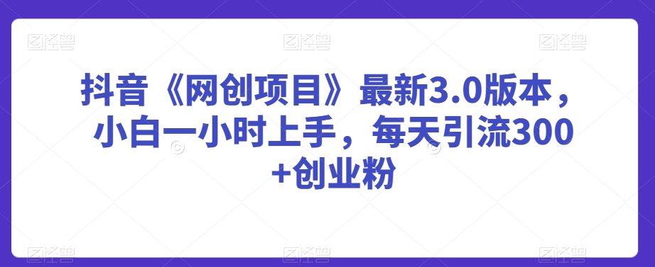 抖音《网创项目》最新3.0版本，小白一小时上手，每天引流300+创业粉网赚项目-副业赚钱-互联网创业-资源整合四水哥网创网赚