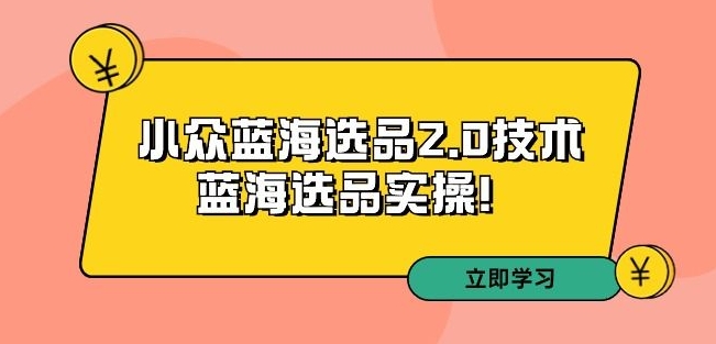 拼多多培训第33期：小众蓝海选品2.0技术-蓝海选品实操！-云梦泽轻创