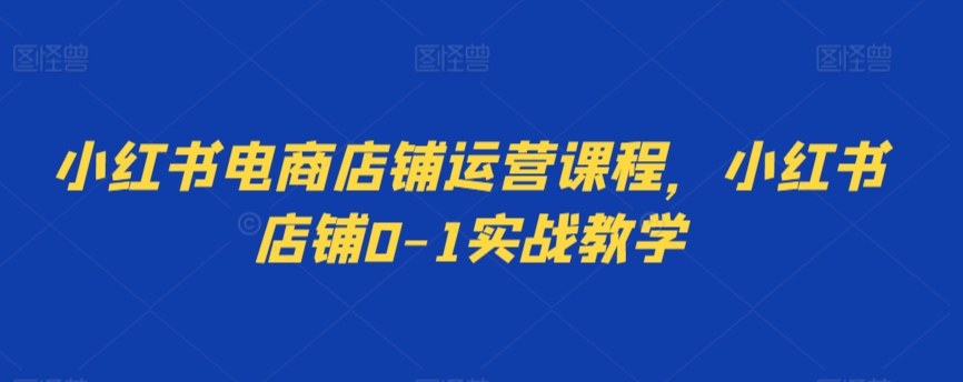 小红书电商店铺运营课程，小红书店铺0-1实战教学网赚项目-副业赚钱-互联网创业-资源整合森森素材资源站