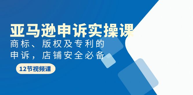 亚马逊-申诉实战课，​商标、版权及专利的申诉，店铺安全必备网赚项目-副业赚钱-互联网创业-资源整合森森素材资源站