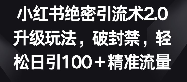 小红书绝密引流术2.0升级玩法，破封禁，轻松日引100+精准流量网赚项目-副业赚钱-互联网创业-资源整合歪妹网赚