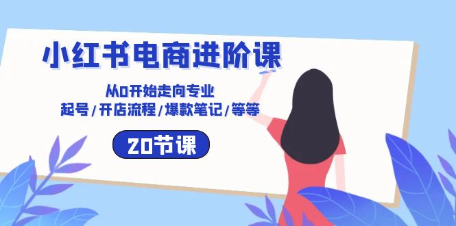 小红书电商进阶课：从0开始走向专业 起号/开店流程/爆款笔记/等等（20节）-北漠网络