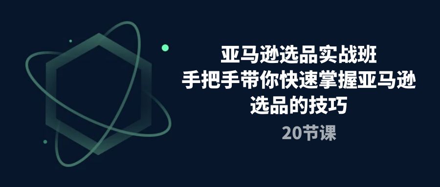 亚马逊选品实战班，手把手带你快速掌握亚马逊选品的技巧（20节课）网赚项目-副业赚钱-互联网创业-资源整合轻创联盟