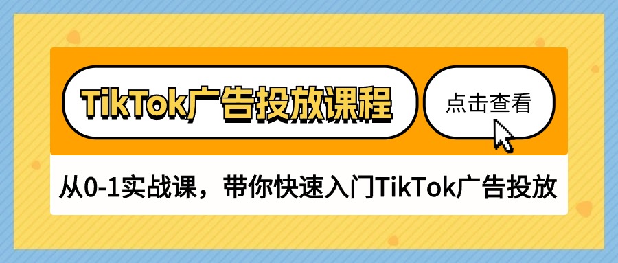 TikTok广告投放课程，从0-1实战课，带你快速入门TikTok广告投放（30节课）网赚项目-副业赚钱-互联网创业-资源整合四水哥网创网赚