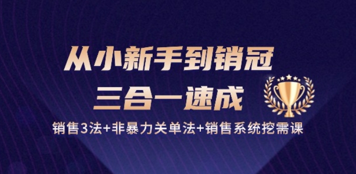 从小新手到销冠 三合一速成：销售3法+非暴力关单法+销售系统挖需课 (27节)网赚项目-副业赚钱-互联网创业-资源整合歪妹网赚