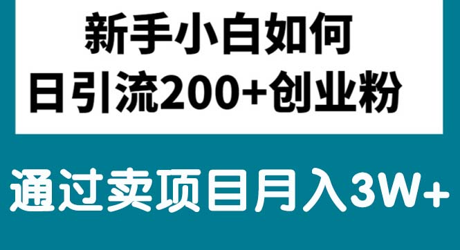 新手小白日引流200+创业粉,通过卖项目月入3W+