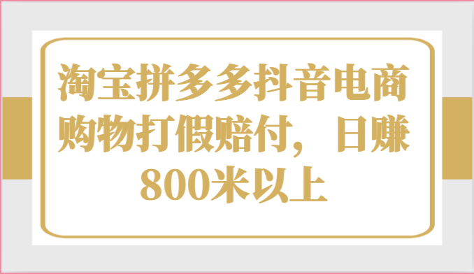 淘宝拼多多抖音电商购物打假赔付，日赚800米以上-北漠网络