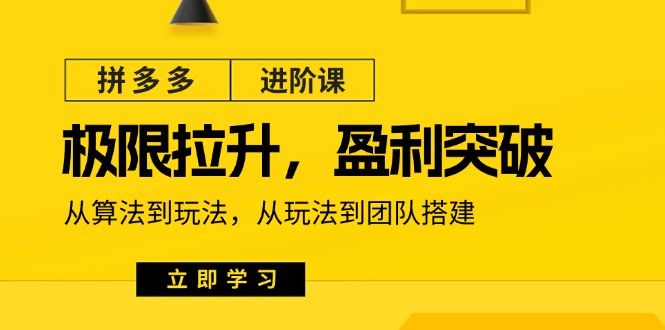 拼多多·进阶课：极限拉升/盈利突破：从算法到玩法 从玩法到团队搭建-18节网赚项目-副业赚钱-互联网创业-资源整合四水哥网创网赚