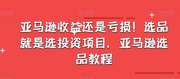 亚马逊收益还是亏损！选品就是选投资项目，亚马逊选品教程资源整合BMpAI