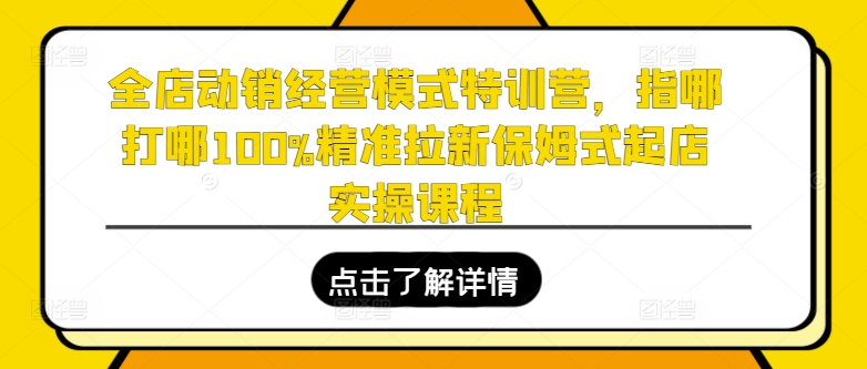 全店动销经营模式特训营，指哪打哪100%精准拉新保姆式起店实操课程网赚项目-副业赚钱-互联网创业-资源整合轻创联盟