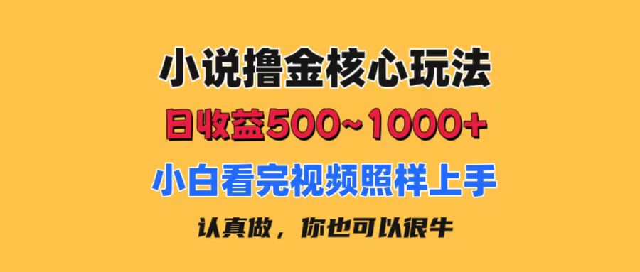 小说撸金核心玩法，日收益500-1000+，小白看完照样上手，0成本有手就行-北漠网络