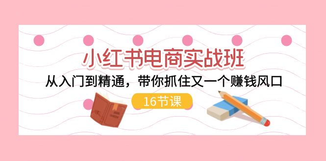 小红书电商实战班，从入门到精通，带你抓住又一个赚钱风口（16节）网赚项目-副业赚钱-互联网创业-资源整合歪妹网赚