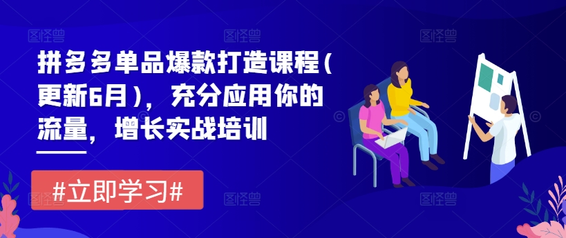 拼多多单品爆款打造课程(更新6月)，充分应用你的流量，增长实战培训资源整合BMpAI