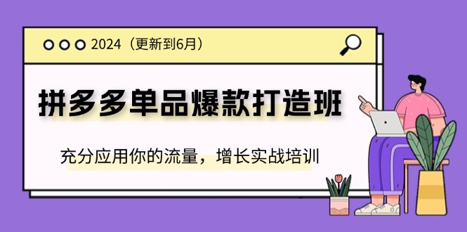 2024拼多多-单品爆款打造班(更新6月)，充分应用你的流量，增长实战培训网赚项目-副业赚钱-互联网创业-资源整合轻创联盟