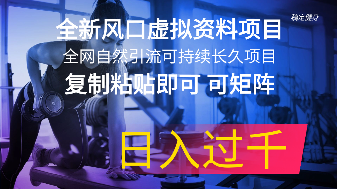 全新风口虚拟资料项目 全网自然引流可持续长久项目 复制粘贴即可可矩阵…资源整合BMpAI