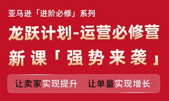 亚马逊进阶必修系列，龙跃计划-运营必修营新课，让卖家实现提升 让单量实现增长-北漠网络