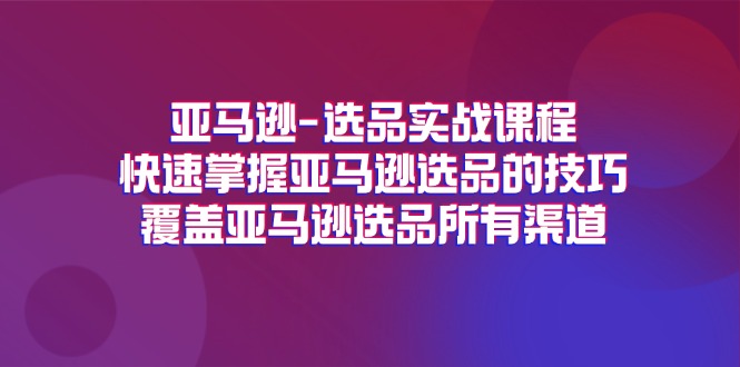 亚马逊-选品实战课程，快速掌握亚马逊选品的技巧，覆盖亚马逊选品所有渠道-北漠网络