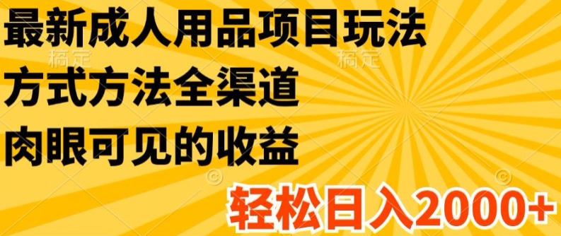 最新成人用品项目玩法，方式方法全渠道，轻松日入2K+-不晚学院