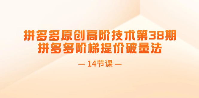 拼多多原创高阶技术第38期，拼多多阶梯提价破量法（14节课）网赚教程-副业赚钱-互联网创业-手机赚钱-网赚项目-98副业网-精品课程-知识付费-网赚创业网98副业网