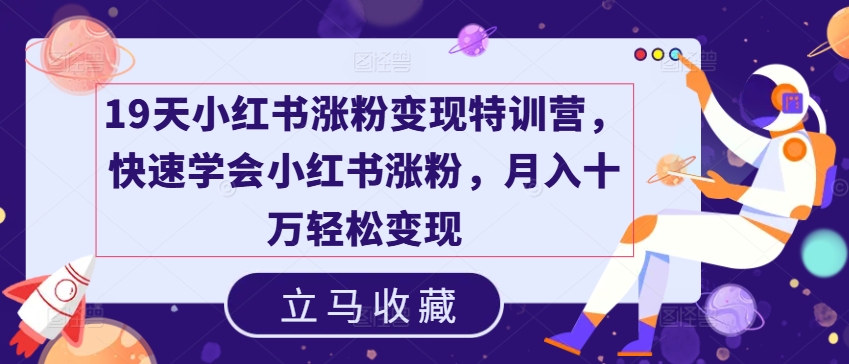 19天小红书涨粉变现特训营，快速学会小红书涨粉，月入十万轻松变现网赚教程-副业赚钱-互联网创业-手机赚钱-网赚项目-98副业网-精品课程-知识付费-网赚创业网98副业网