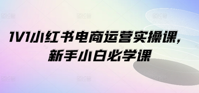 1V1小红书电商运营实操课，新手小白必学课网赚项目-副业赚钱-互联网创业-资源整合歪妹网赚