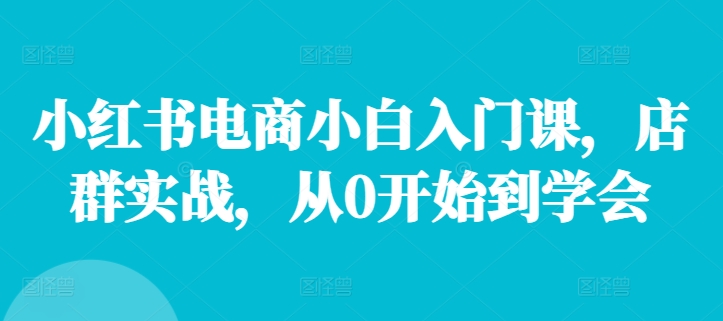 小红书电商小白入门课，店群实战，从0开始到学会-不晚学院