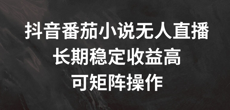 抖音番茄小说无人直播，长期稳定收益高，可矩阵操作-不晚学院