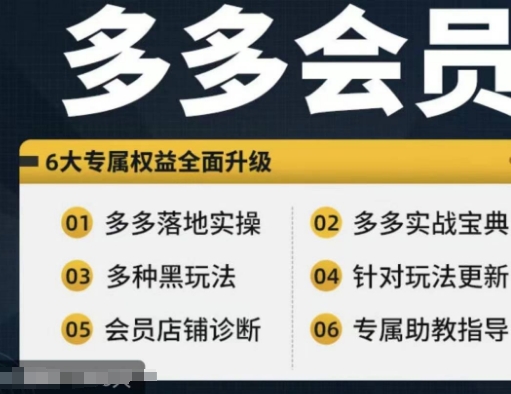 拼多多会员，拼多多实战宝典+实战落地实操，从新手到高阶内容全面覆盖-北漠网络