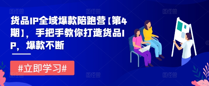 货品IP全域爆款陪跑营【第4期】，手把手教你打造货品IP，爆款不断网赚项目-副业赚钱-互联网创业-资源整合歪妹网赚