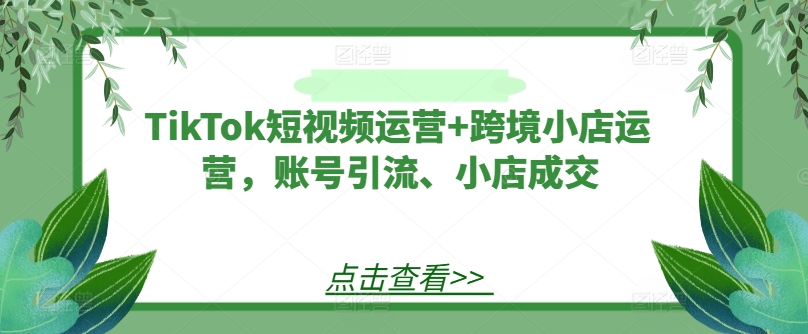 TikTok短视频运营+跨境小店运营，账号引流、小店成交网赚项目-副业赚钱-互联网创业-资源整合歪妹网赚