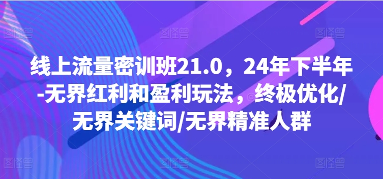 线上流量密训班21.0，24年下半年-无界红利和盈利玩法，终极优化/无界关键词/无界精准人群资源整合BMpAI