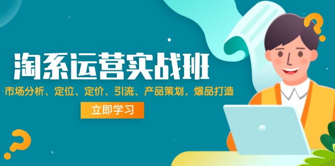 淘系运营实战班：市场分析、定位、定价、引流、产品策划，爆品打造网赚项目-副业赚钱-互联网创业-资源整合四水哥网创网赚