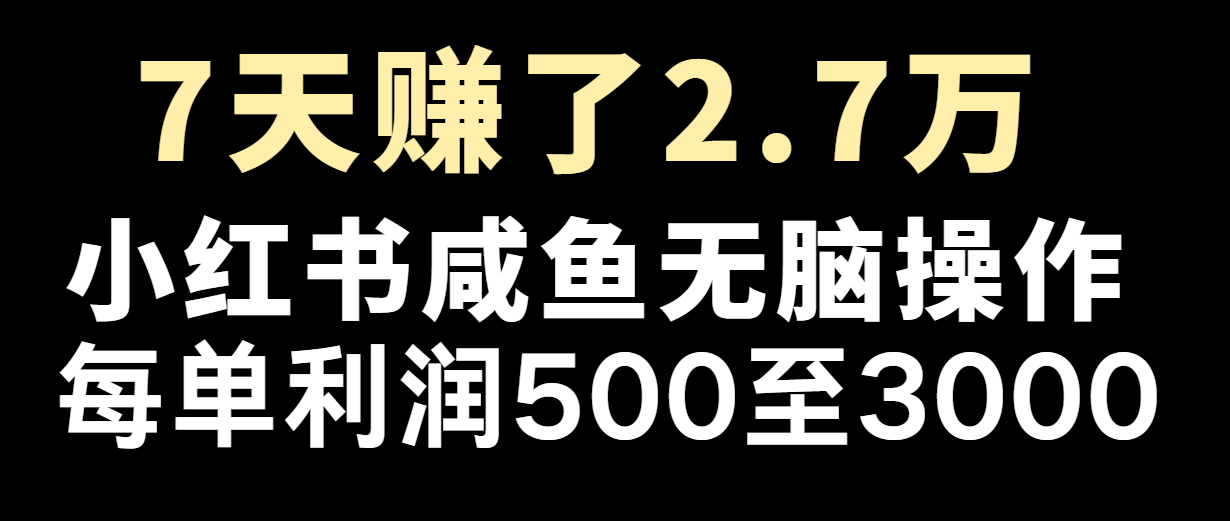 七天赚了2.7万！每单利润最少500+，轻松月入5万+小白有手就行-北漠网络