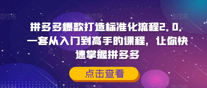 【第8147期】拼多多爆款打造标准化流程2.0，一套从入门到高手的课程，让你快速掌握拼多多