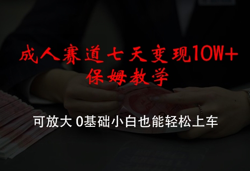 成人赛道七天变现10W+保姆教学，可放大，0基础小白也能轻松上车-不晚学院