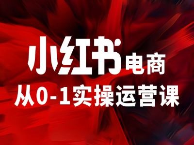 小红书电商从0-1实操运营课，让你从小白到精英网赚项目-副业赚钱-互联网创业-资源整合四水哥网创网赚