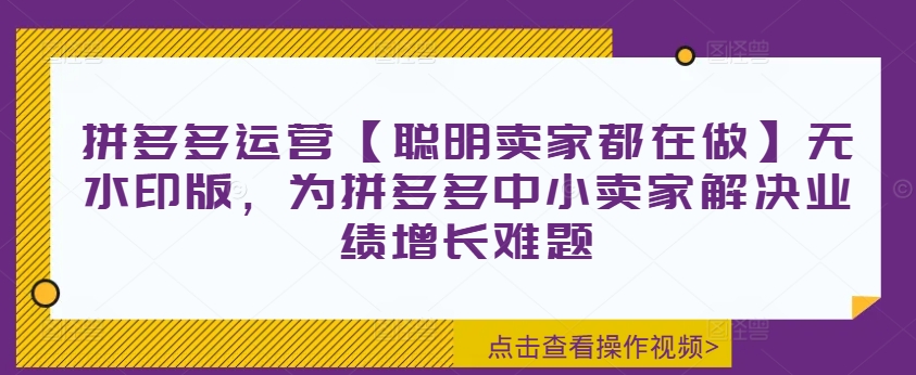 拼多多运营【聪明卖家都在做】无水印版，为拼多多中小卖家解决业绩增长难题网赚项目-副业赚钱-互联网创业-资源整合歪妹网赚