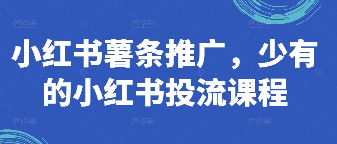 小红书薯条推广，少有的小红书投流课程网赚项目-副业赚钱-互联网创业-资源整合轻创联盟